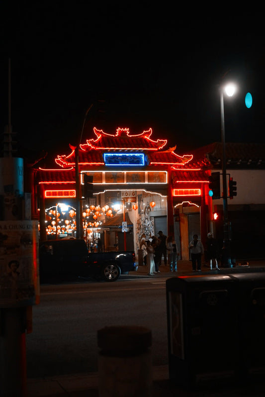 Chinatown (Night) | Vlog & Photography